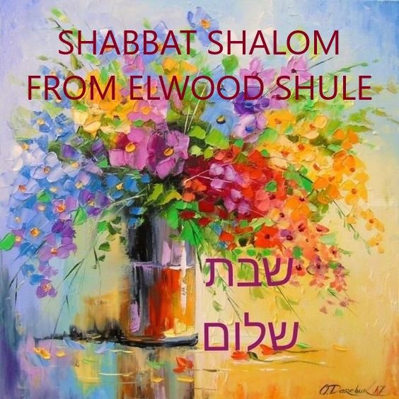 shabbat-shalom-003-from-elwood-shule