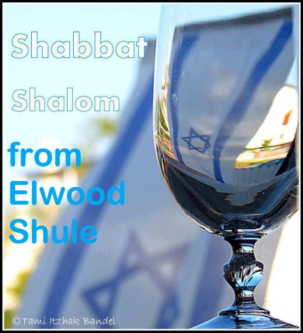 shabbat-shalom-from-elwood-shule