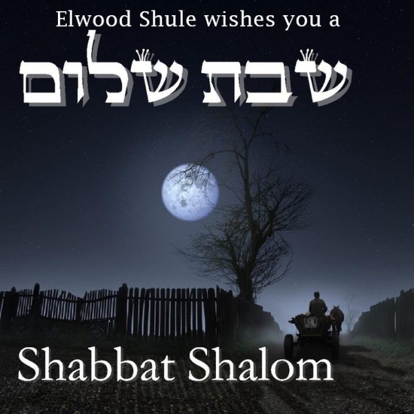 a54539689cf10604a5d3f9699564829a-shabbat-shalom-sabbath-from-elwood-shule