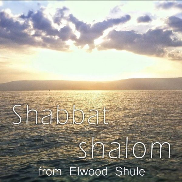 e4c5812fe547377ac1ea22dc778ada11-shabbat-shalom-israel-from-elwood-shule